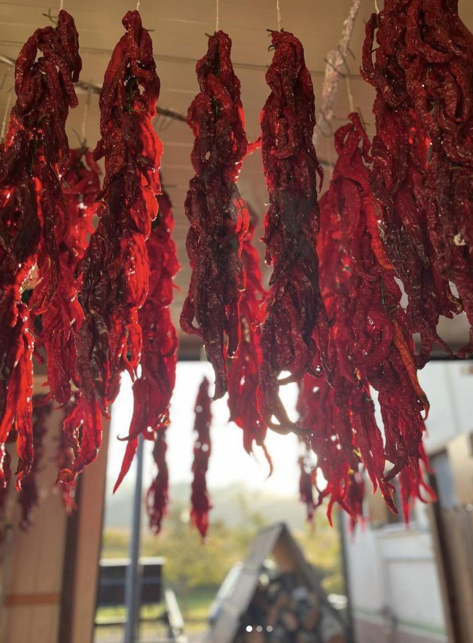 Agriturismo Il Riccio มอนติคคิโอ ภายนอก รูปภาพ