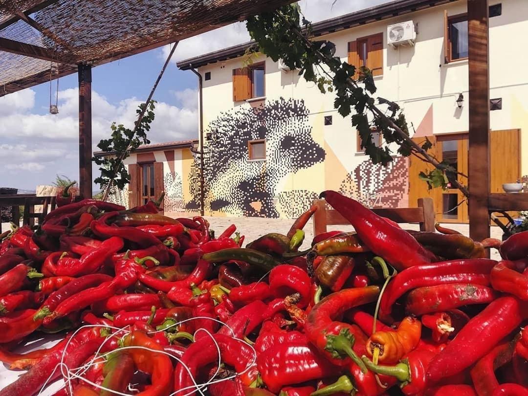 Agriturismo Il Riccio มอนติคคิโอ ภายนอก รูปภาพ