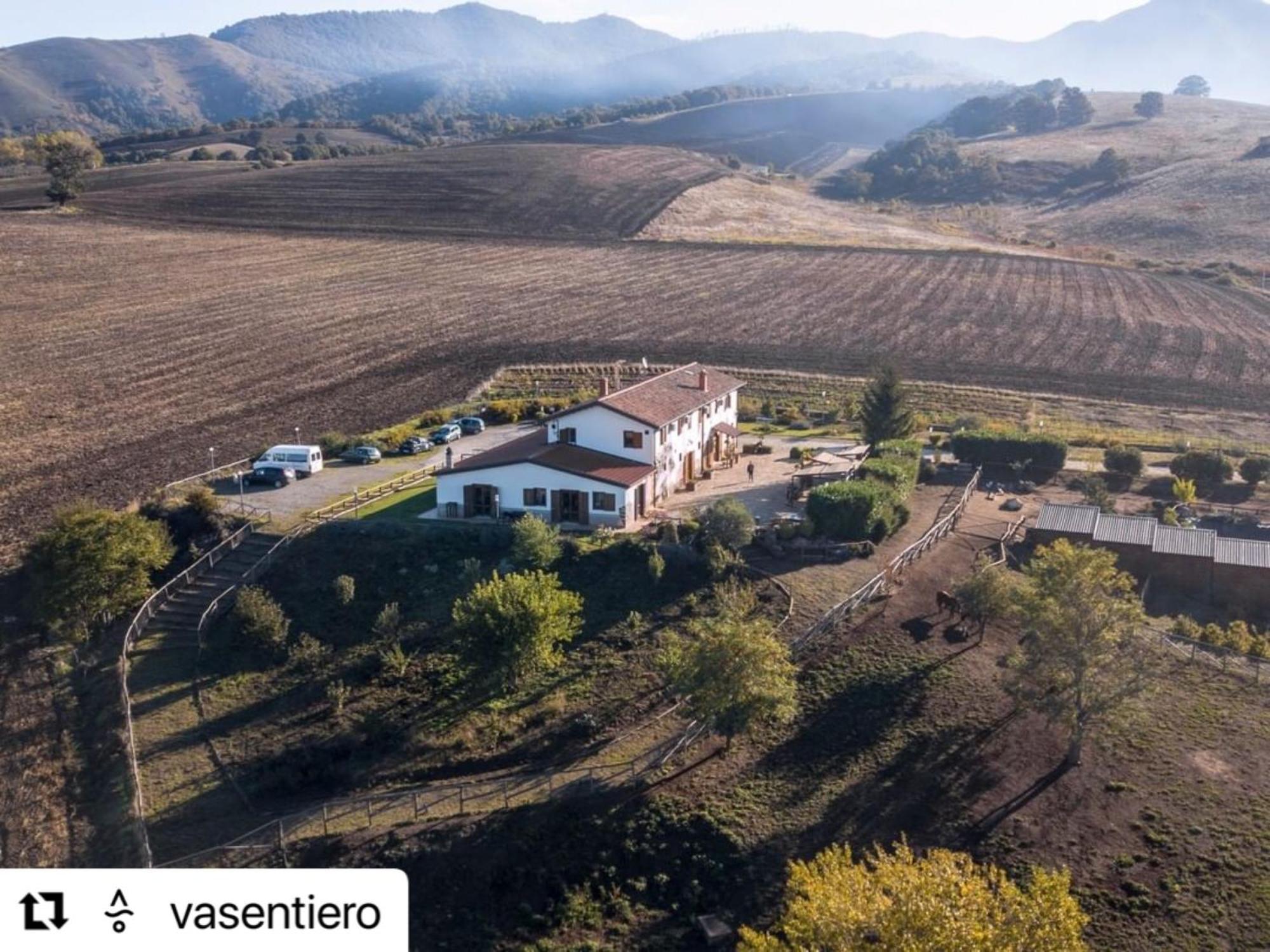 Agriturismo Il Riccio มอนติคคิโอ ภายนอก รูปภาพ