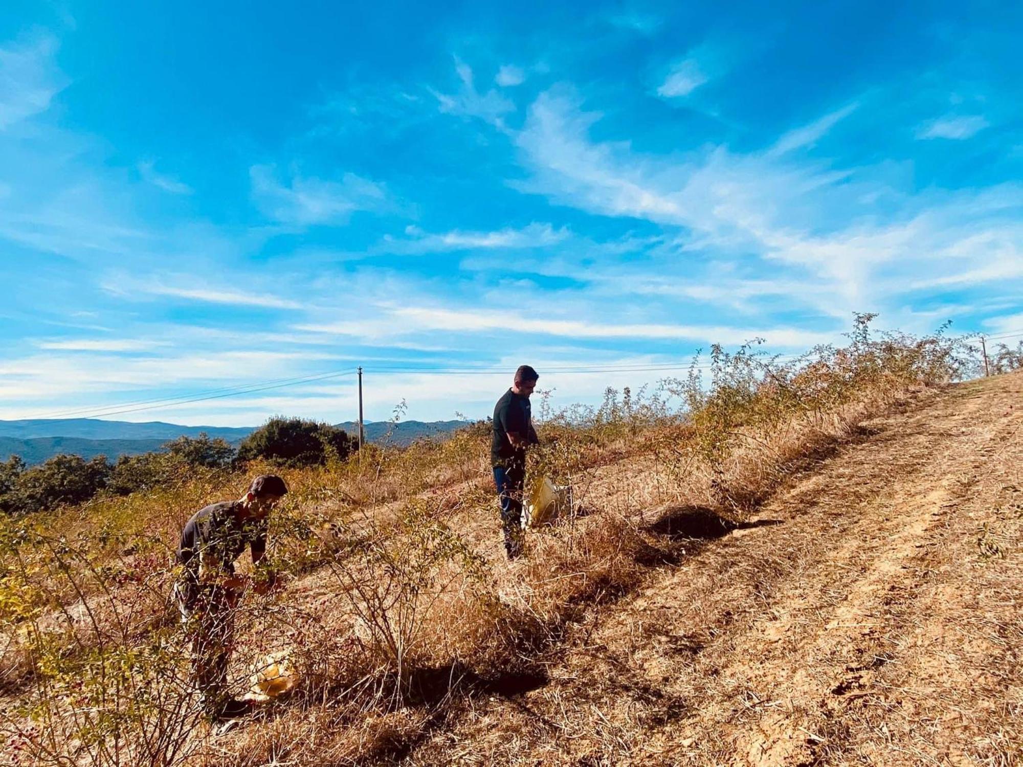 Agriturismo Il Riccio มอนติคคิโอ ภายนอก รูปภาพ