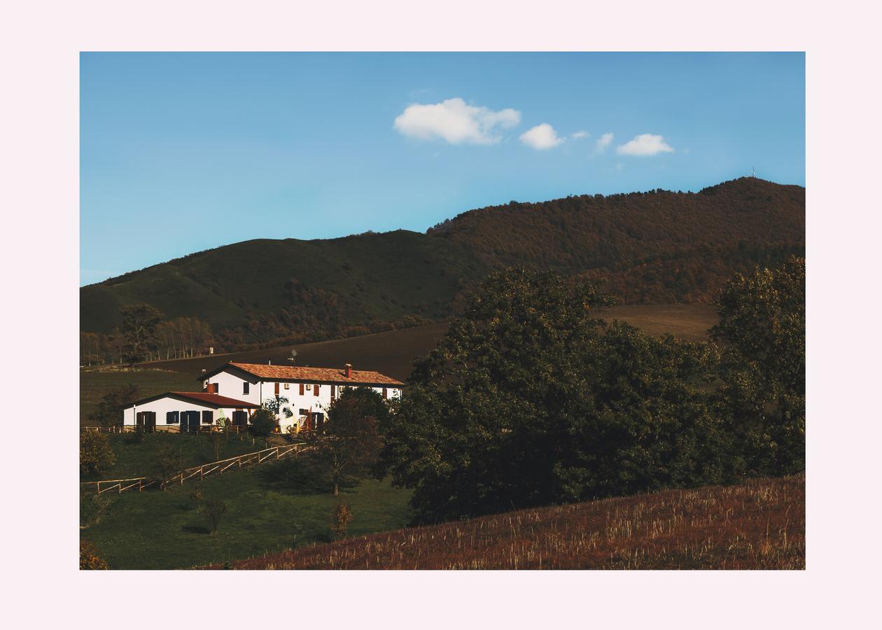 Agriturismo Il Riccio มอนติคคิโอ ภายนอก รูปภาพ