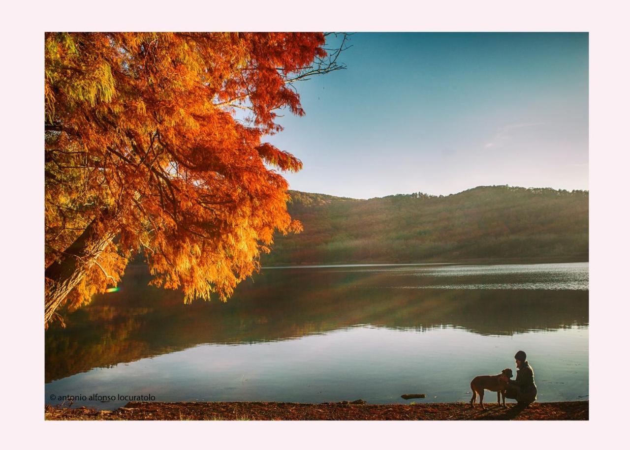 Agriturismo Il Riccio มอนติคคิโอ ภายนอก รูปภาพ