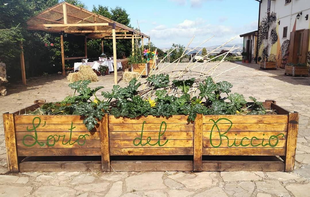 Agriturismo Il Riccio มอนติคคิโอ ภายนอก รูปภาพ