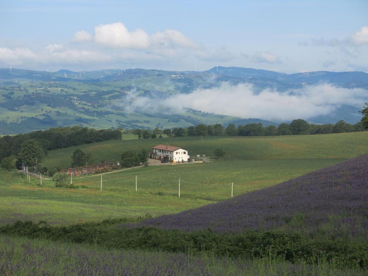Agriturismo Il Riccio มอนติคคิโอ ภายนอก รูปภาพ
