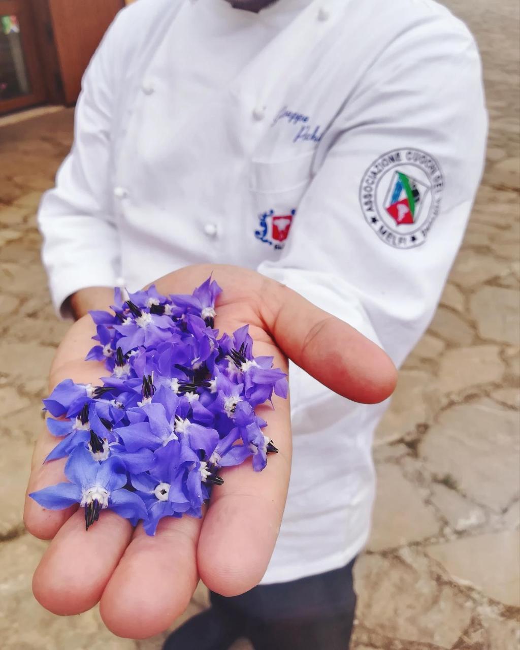 Agriturismo Il Riccio มอนติคคิโอ ภายนอก รูปภาพ