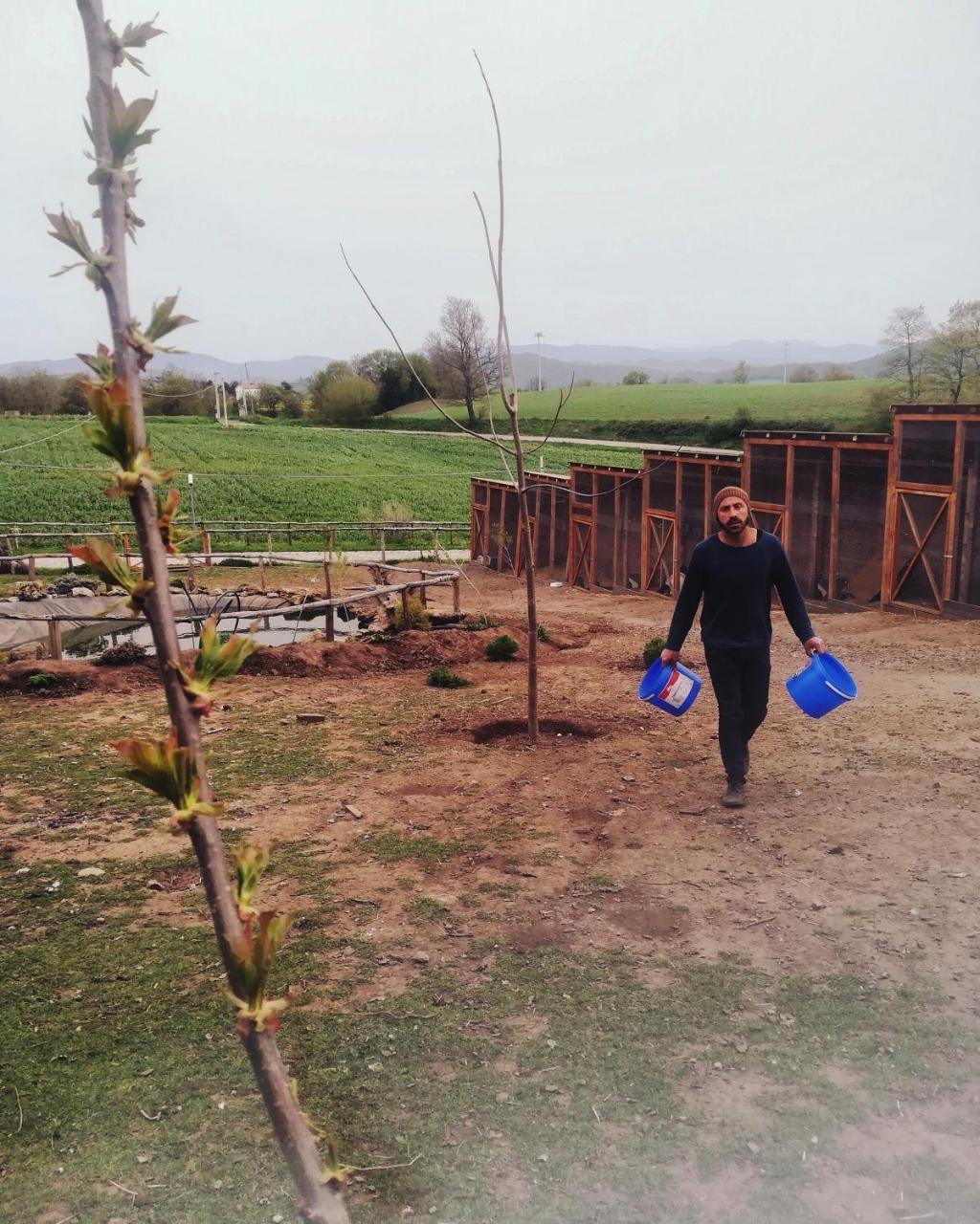 Agriturismo Il Riccio มอนติคคิโอ ภายนอก รูปภาพ